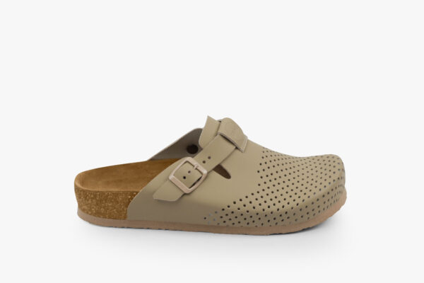 4250 bezorlandonova2