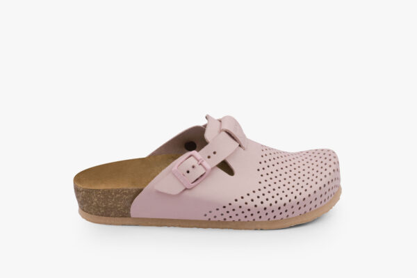 4250 rozeorlandonova2