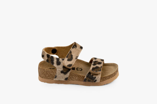 Lifestyle - KAI-LEOPARD