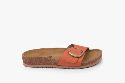 4020 RizotoNarandzasta2