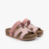 4811 Roze1
